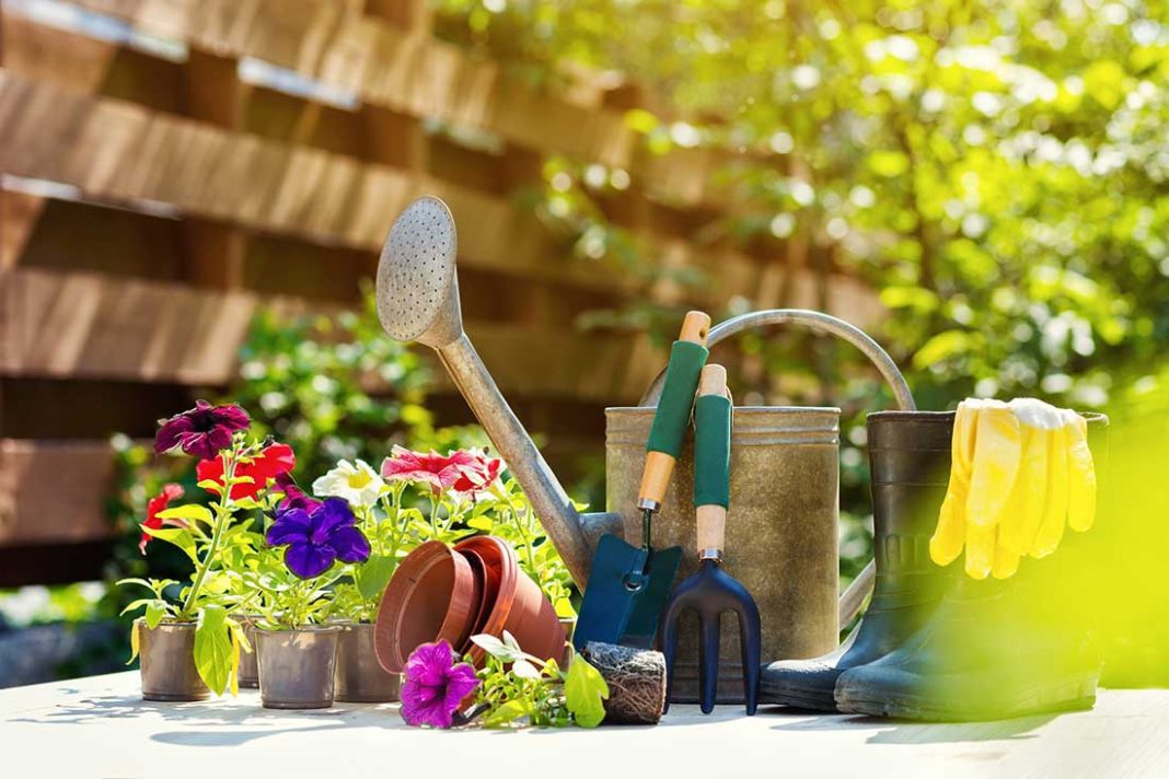 10 tâches essentielles à faire en octobre pour préparer votre jardin