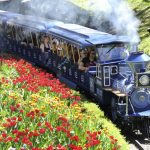 europa-park-train-panoramique