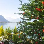 montreux-romantique-promenade