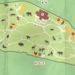 plan-zoo-de-bale
