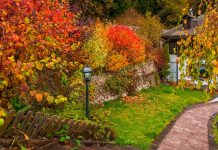 octobre préparer votre jardin pour l'hiver