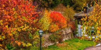 octobre préparer votre jardin pour l'hiver