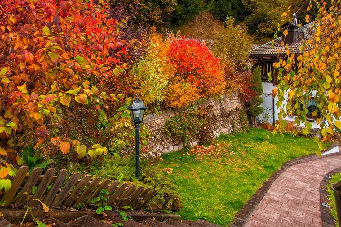 octobre préparer votre jardin pour l'hiver