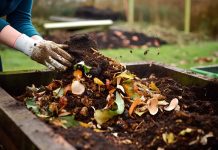 faire un compost naturel chez soi