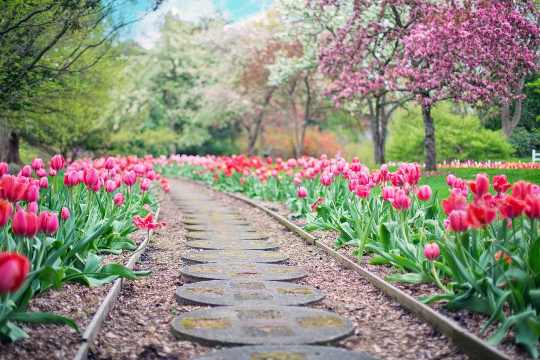 Comment bien s’occuper de son jardin tout au long de l’année